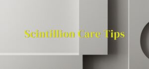 Scintillion Website Pics 2 300x139